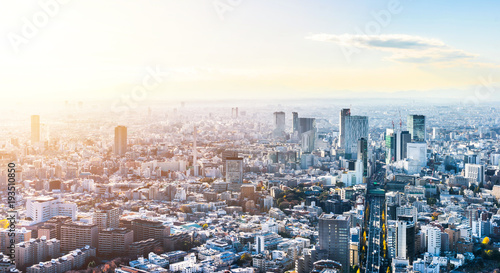 Asia Business concept for real estate and corporate construction - panoramic modern city skyline bird eye aerial view of Shinjuku under blue sky in Roppongi Hill  Tokyo  Japan