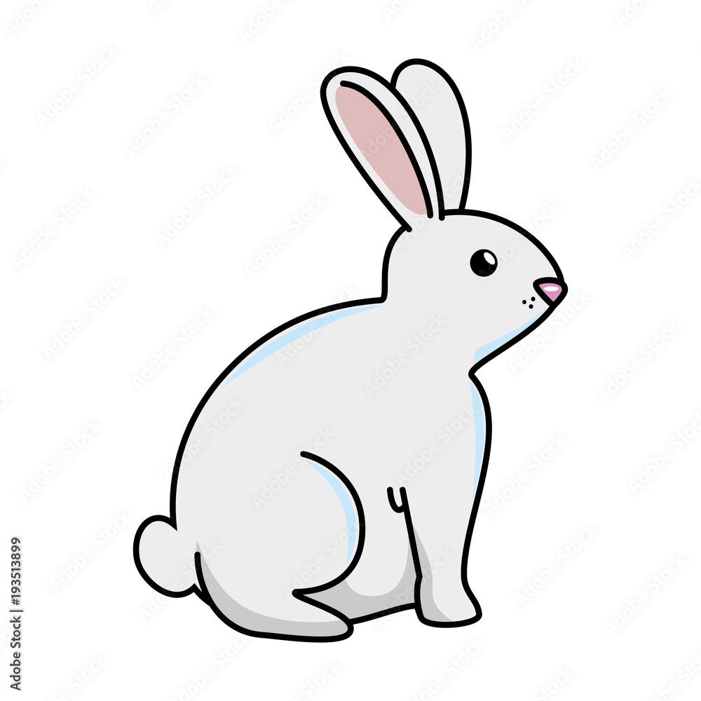 cute rabbit pet character vector illustration design cute rabbit pet character vector illustration design