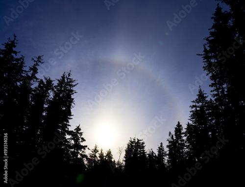 Halo around the sun near sunset with tree silhouettes