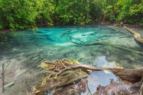 Fototapeta Naklejka Na Ścianę i Meble -  blue sapphire pond it amazing at Krabi, Thailand