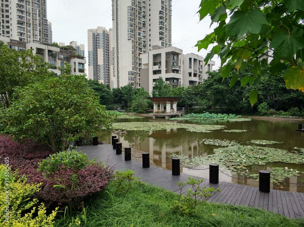 pond inside the society pond inside the society