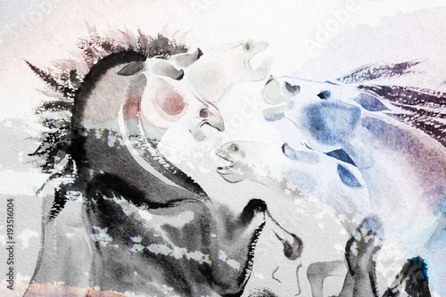 Fototapeta Naklejka Na Ścianę i Meble -  Abstract watercolor paintings the brush stroke colorful of horse