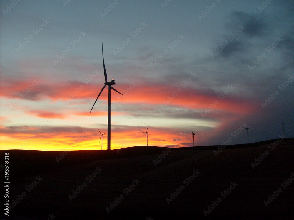 Obraz premium Morning Wind Farm