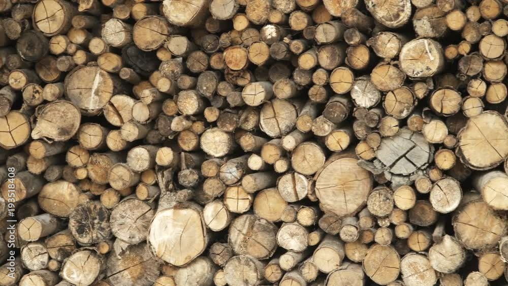 Pan video of stack of logs chopped trees. Pan video of stack of logs chopped trees.