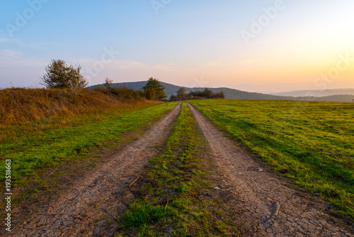 A dirt road along farm field