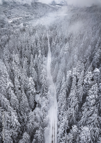Aerial view of snow covered trees and snow covered road in the mountains