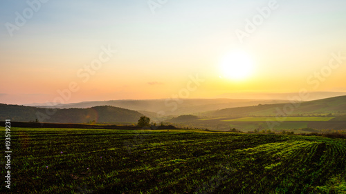 Shoots in farm fields