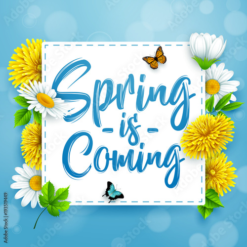 Spring is coming. Spring background with beautiful colorful flower on blue background