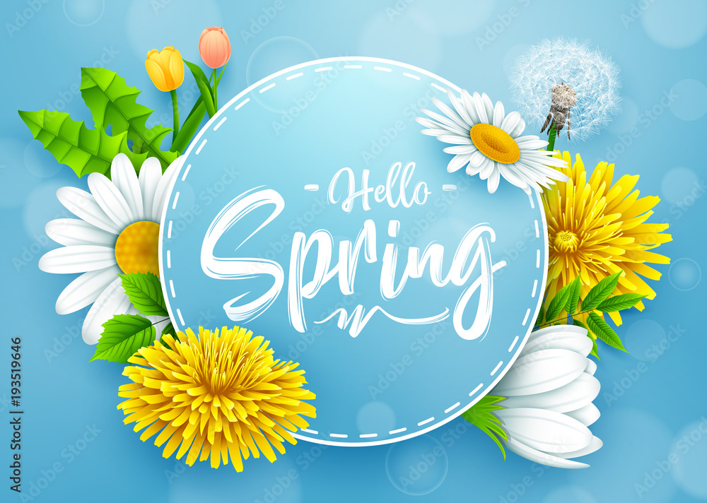 Fototapeta premium Hello spring banner with round frame and various flower on blue background