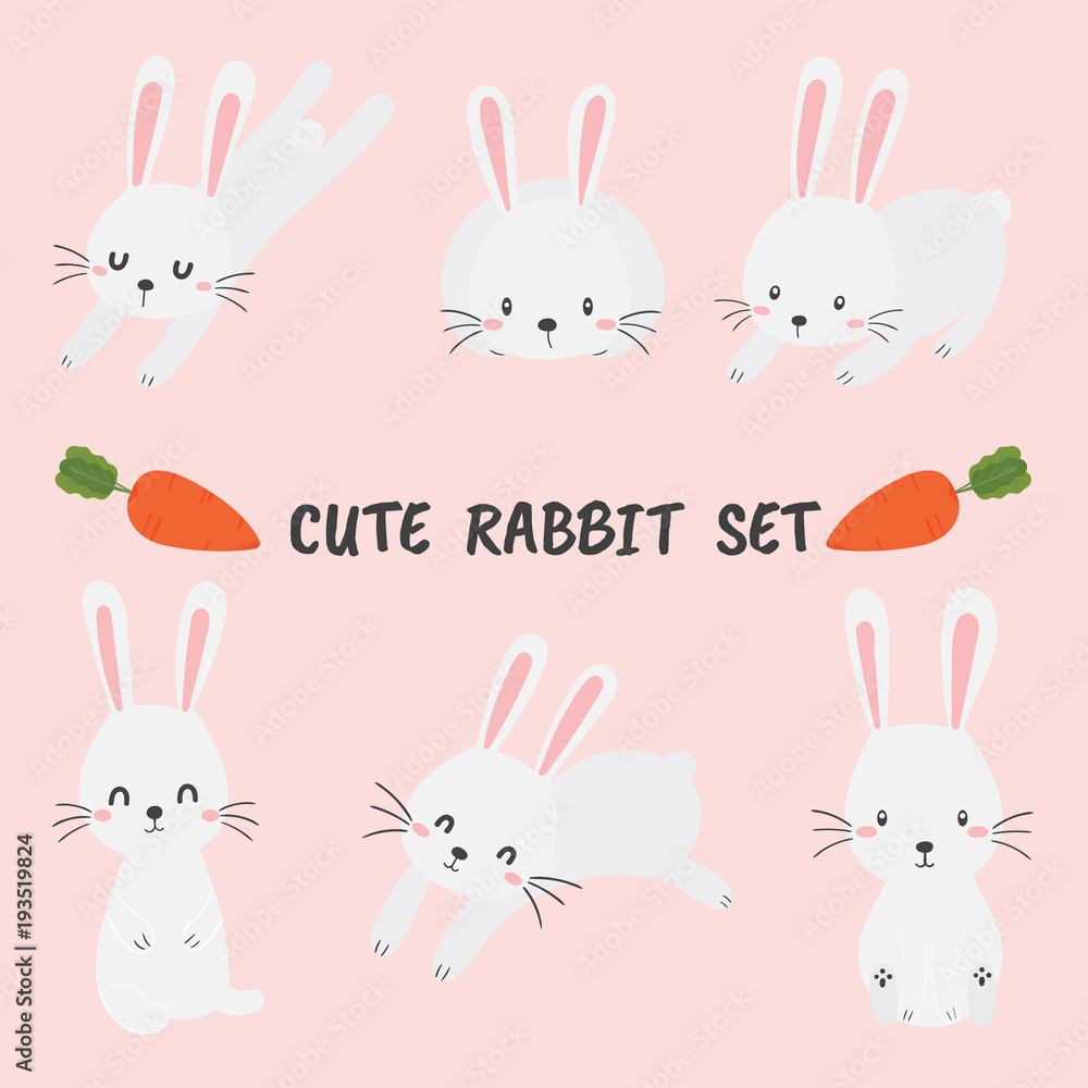 cute rabbit set cute rabbit set
