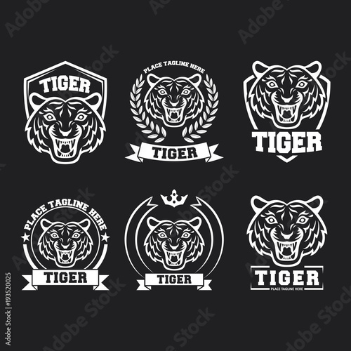 Fototapeta Naklejka Na Ścianę i Meble -  White tiger icon collection set