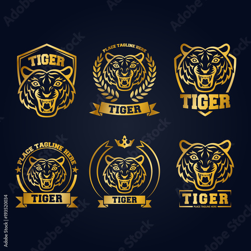 Fototapeta Naklejka Na Ścianę i Meble -  Gold tiger head mascot collection