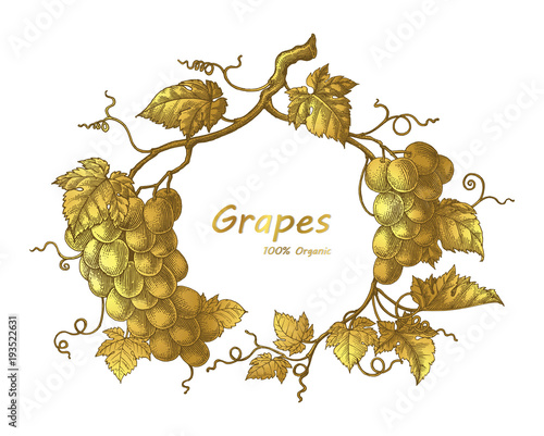 Grapes frame hand drawing vintage engraving illustration with gold color