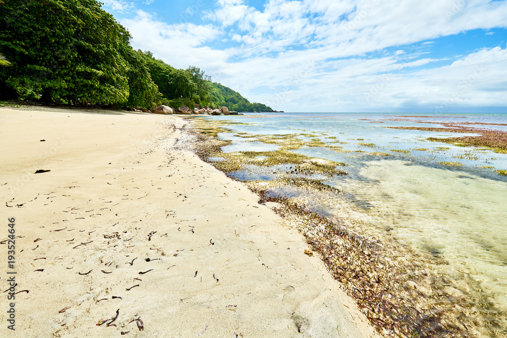 tropical beach, Praslin, seychelles tropical beach, Praslin, seychelles