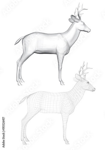 Vector illustration of roe deer, side view. Two deer with a polygonal mesh and 3D.