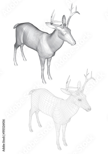 Vector illustration of roe deer, isometric view. Two deer with polygonal and reticulated 3D.