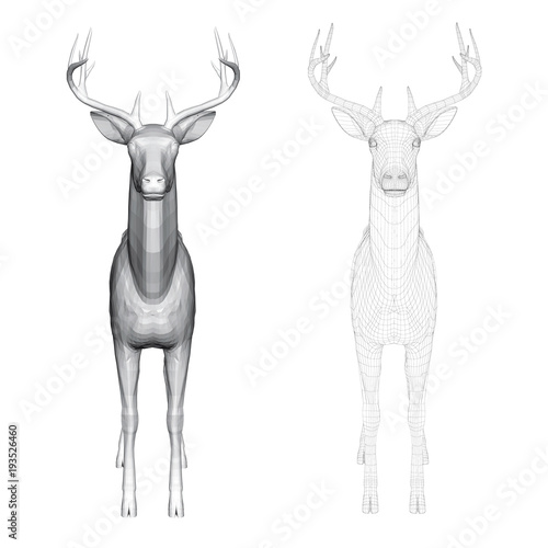 Vector illustration of roe deer, front view. Two deer with polygonal and reticulated 3D.