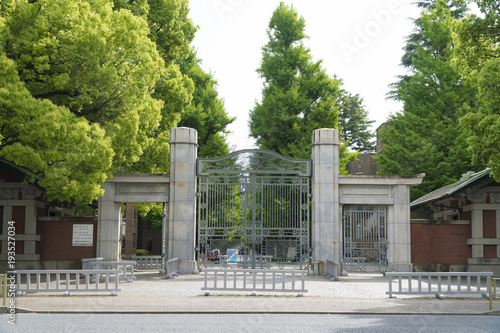 Obraz na płótnie 東京大学 正門 春 新緑