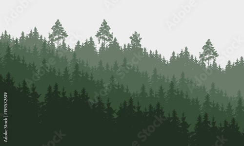 panoramic vector illustration of a forest under a overcast gray sky