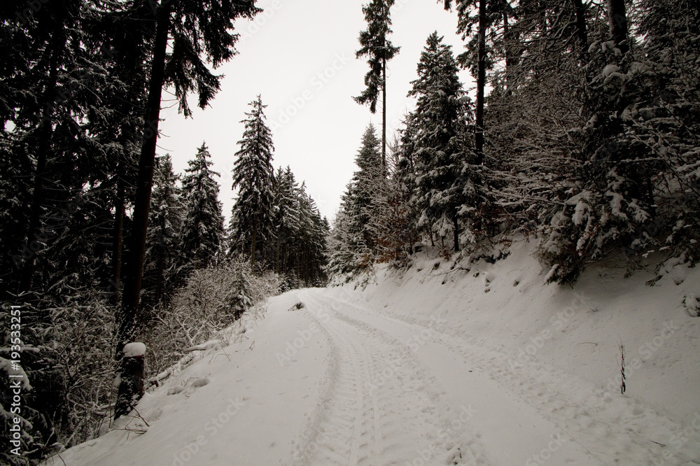 Obraz premium Winter