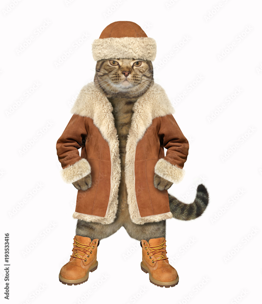 Premium AI Image  A cat wearing a coat and hat is wearing a