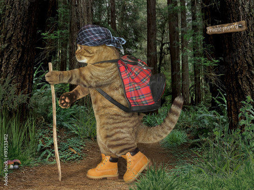 The cat tourist in boots walks in the forest. A stick is in his paw. photo