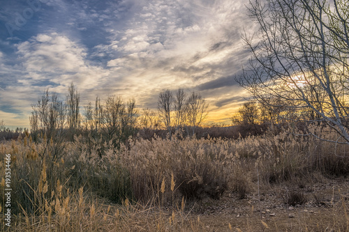 Sunset in autumn in countryside on the outskirts of San Fernando de Henares.