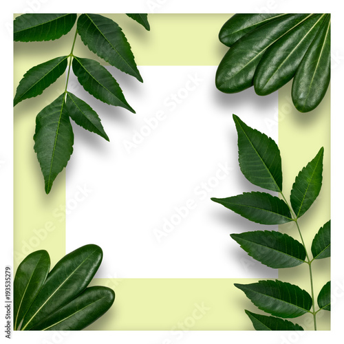 Creative layout made of leaves with paper card note. Flat lay. Nature concept.