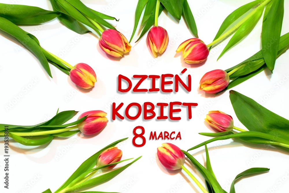 Dzień kobiet kartka z polskim tekstem DZIEŃ KOBIET, Czerwone tulipany ułożone w koło na białym tle - obrazy, fototapety, plakaty 
