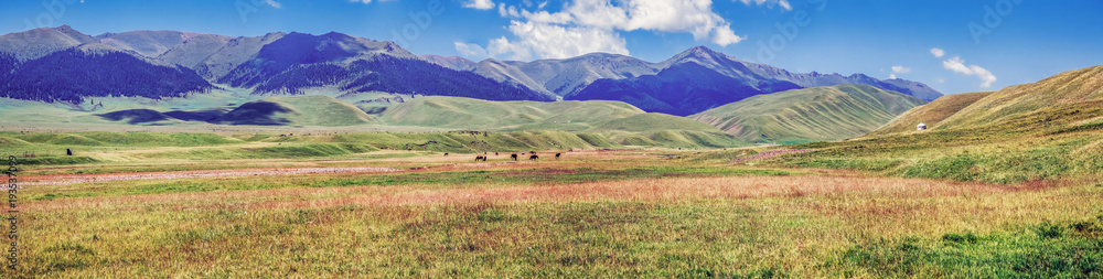 Pasture on the Assy mountain plateau. Kazakhstan, Almaty region.