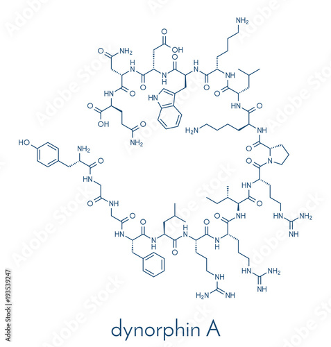 Dynorphin a endogenous opioid peptide molecule. Skeletal formula.
