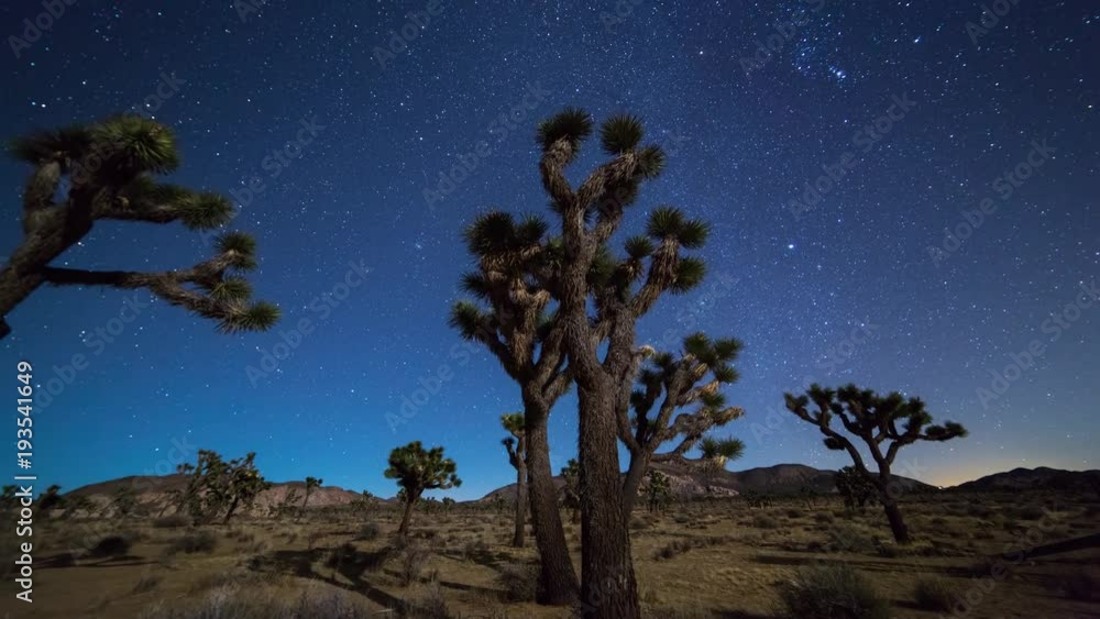 Joshua Trees night 4k 3d moving timelapse. Joshua Tree National Park, California Joshua Trees night 4k 3d moving timelapse. Joshua Tree National Park, California