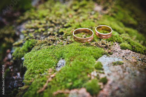beautiful gold rings lie on moss