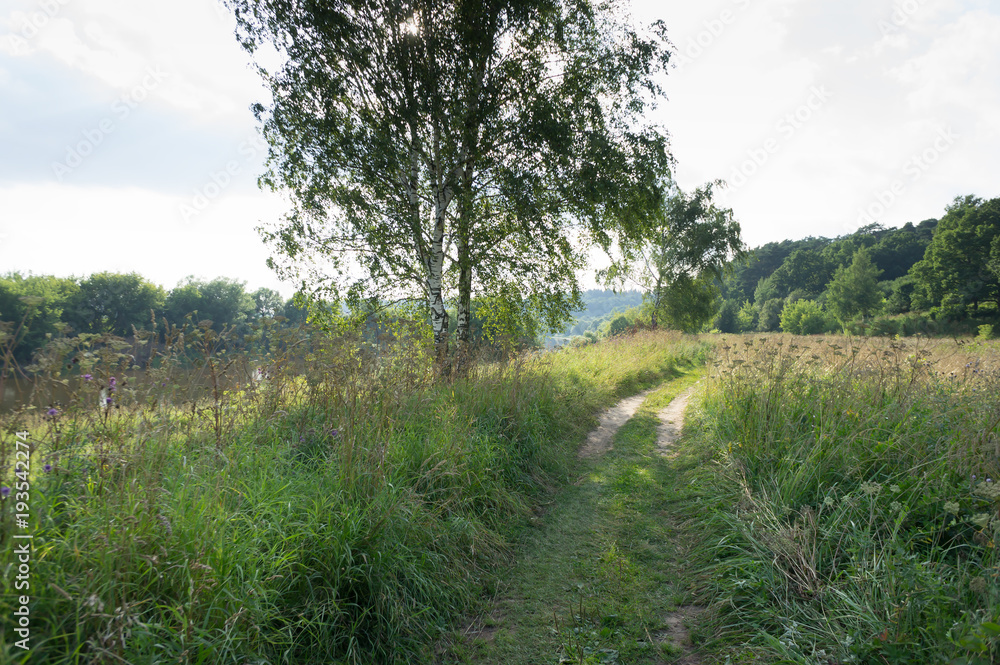 Summer landscape with green grass, road and clouds Summer landscape with green grass, road and clouds