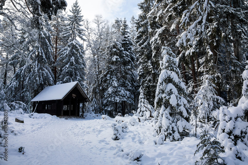 Winterwunderland - Schwarzwald © EinBlick
