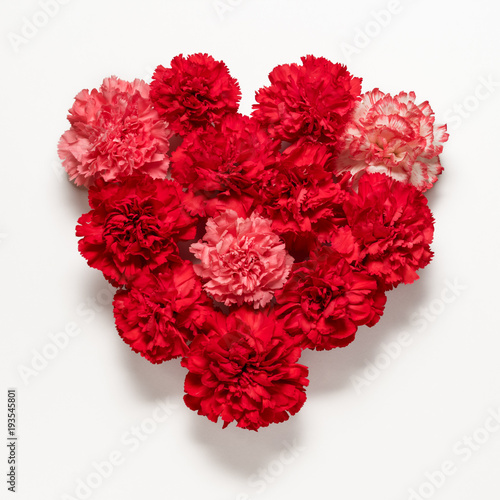 Red carnations flowers in shape of heart on white background. Flat lay. Love concept.