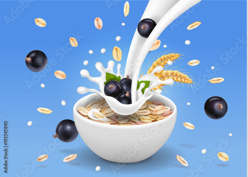Oats in bowl with Black currants.