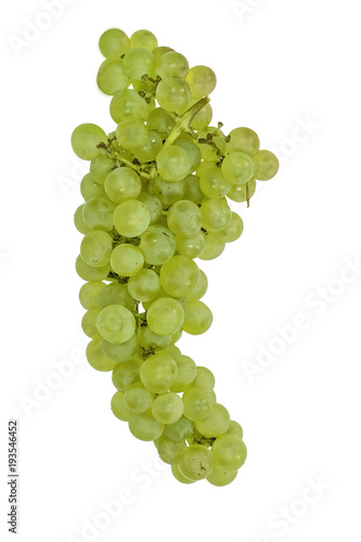 White grape (Vitis vinifera), isolated on white