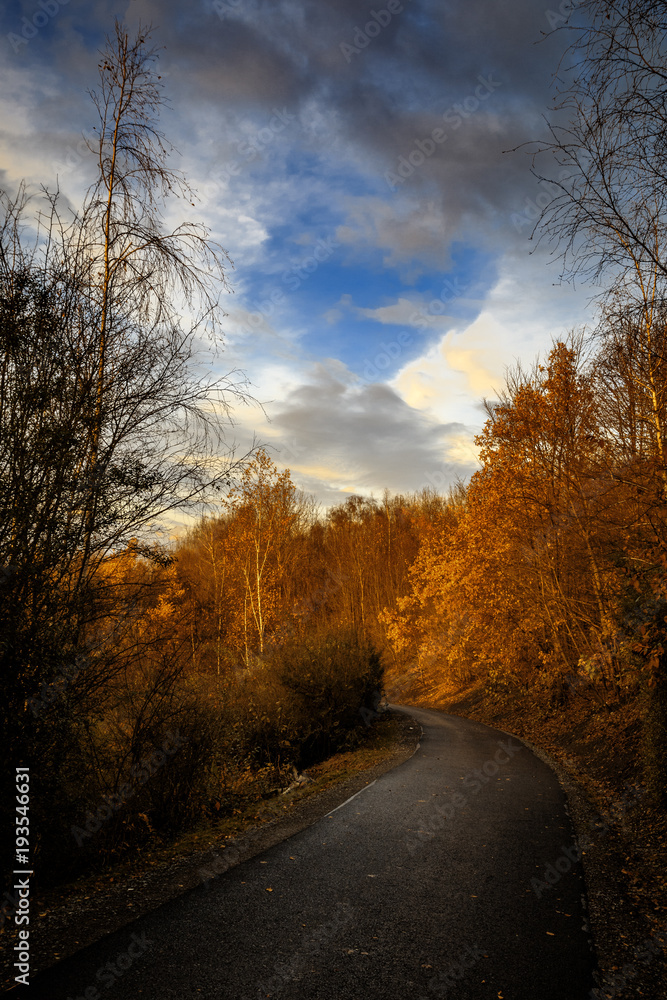 Naklejka premium Der Weg zum Tetraeder Bottrop auf der Halde an der Beckstrasse an einem sonnigen Nachmittag im Spätherbst