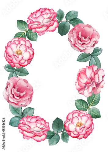 Background with watercolor rose flowers. Perfect for greeting cards or invitations