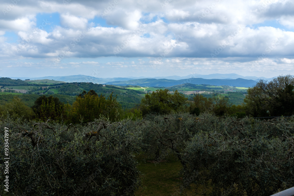 Obraz premium Tuscany Landscape - Volterra