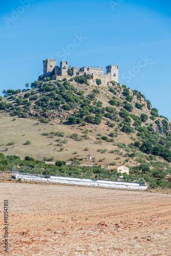 Almodovar del Rio Castle, Cordoba, Andalusia, Spain.