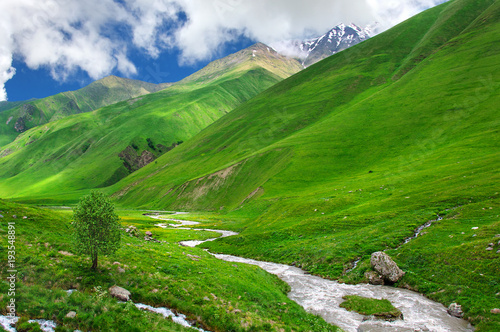 Green valley with stormy river in the Caucasus, Kazbegi, Georgia, Svaneti