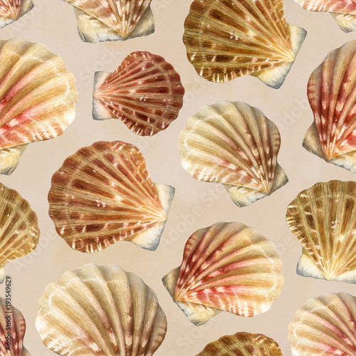 Seamless pattern with watercolor illustrations of shells