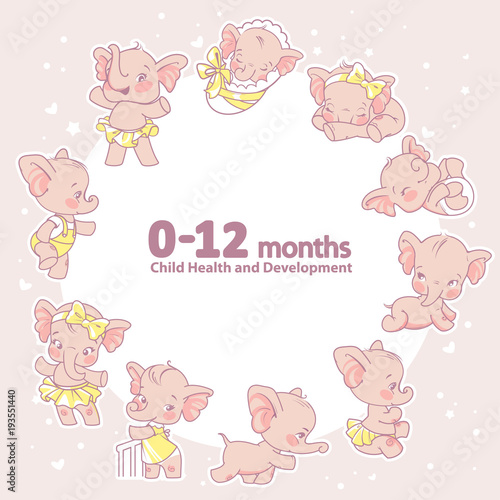 Set of baby health and development icon. Infographic of baby growth from newborn to toddler with text. First year. Cartoon elephant as girl of 0-12 months. Design template. Vector illustration. © Natalia Zelenina
