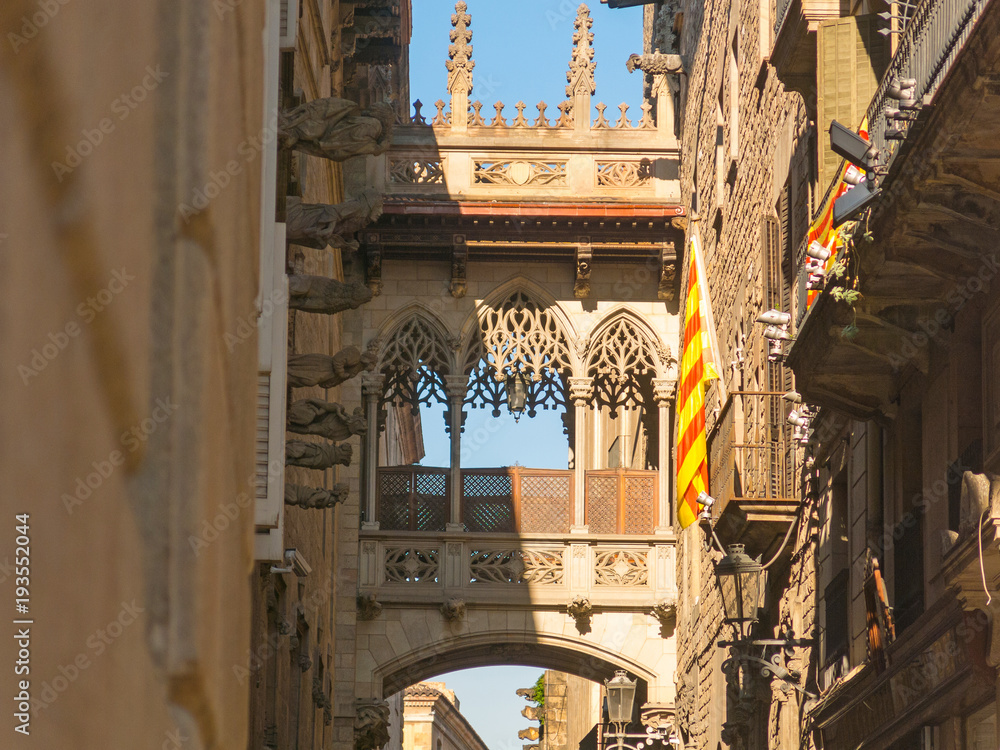 Fototapeta premium Neogothic bridge at Carrer del Bisbe (Bishop Street) in Barcelona, Catalonia, Spain