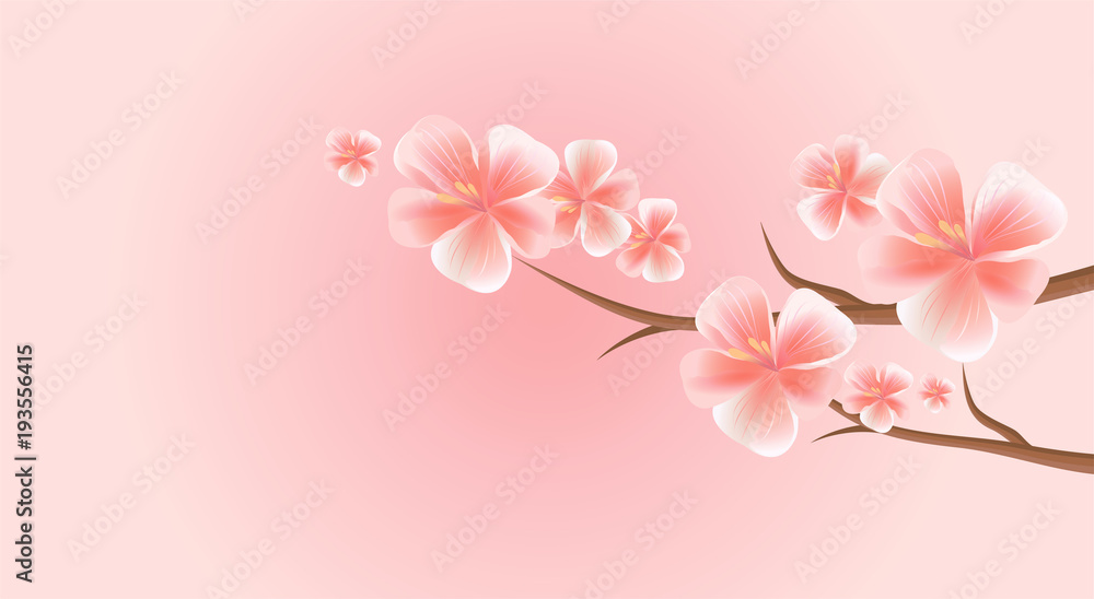 Branches of Sakura with Pink flowers isolated on Pink background. Sakura flowers. Cherry blossom. Vector Branches of Sakura with Pink flowers isolated on Pink background. Sakura flowers. Cherry blossom. Vector