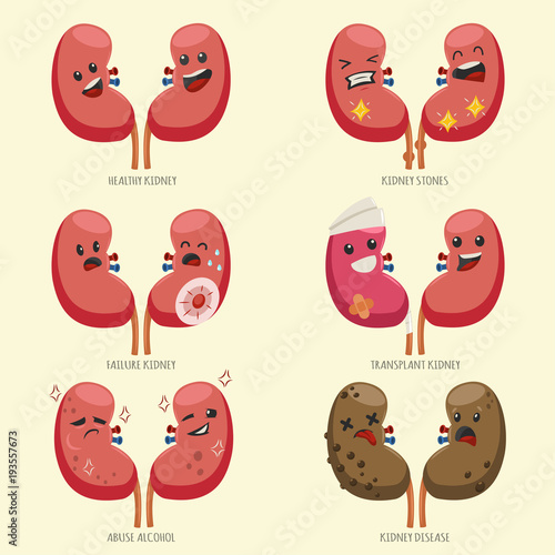 Cute kidney vector cartoon character set. Medical illustration with healthy, disease and transported internal organs of human isolated on a white background.