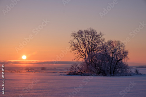 beautiful winter landscape at dawn