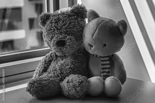 Monochrome Bear and kitten toy sitting by the window in shadows photo